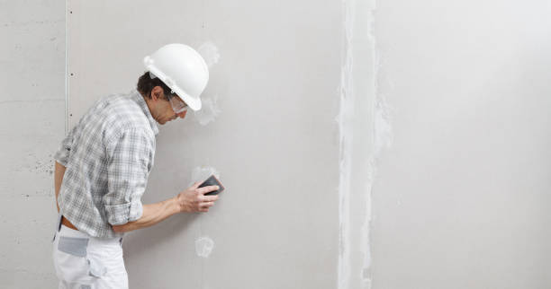 Best Attic Mold Removal  in Sharon, PA