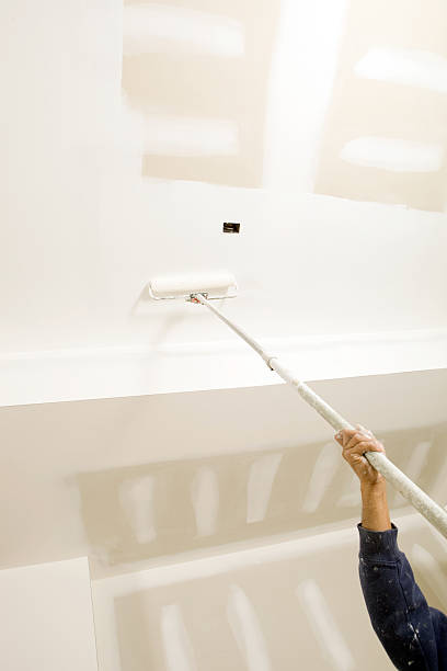 Best Mold Damage Restoration  in Sharon, PA