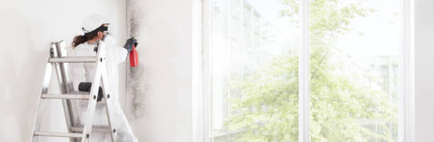 Best Indoor Air Quality Assessment  in Sharon, PA